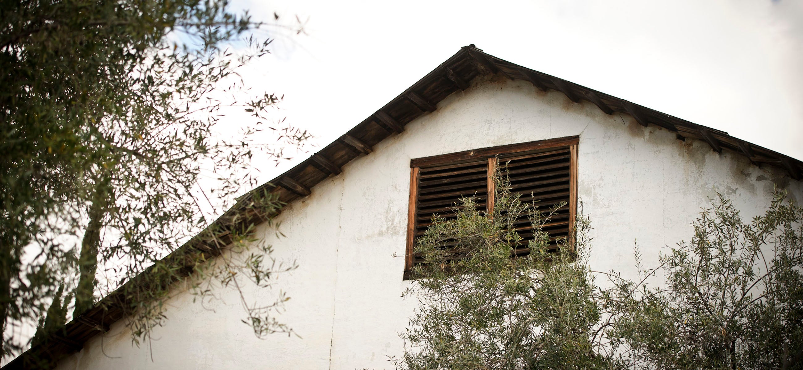 Bernardo Winery gallery